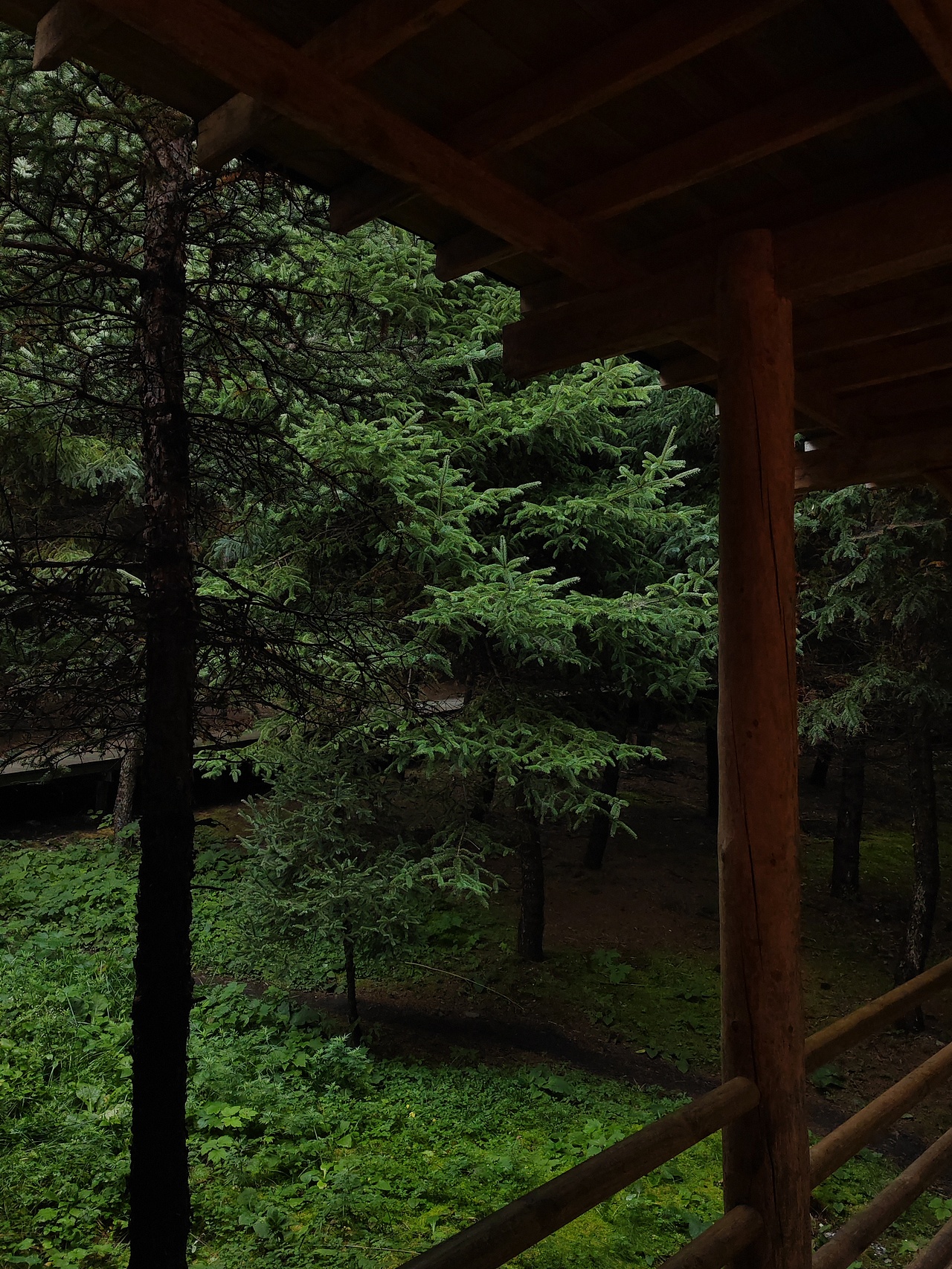 浓郁的绿、云雾的白（图ZMzc4Mzk3ODUy） - 风光摄影 - 站酷设计师曦言ECHO原创素材 - 站酷ZCOOL