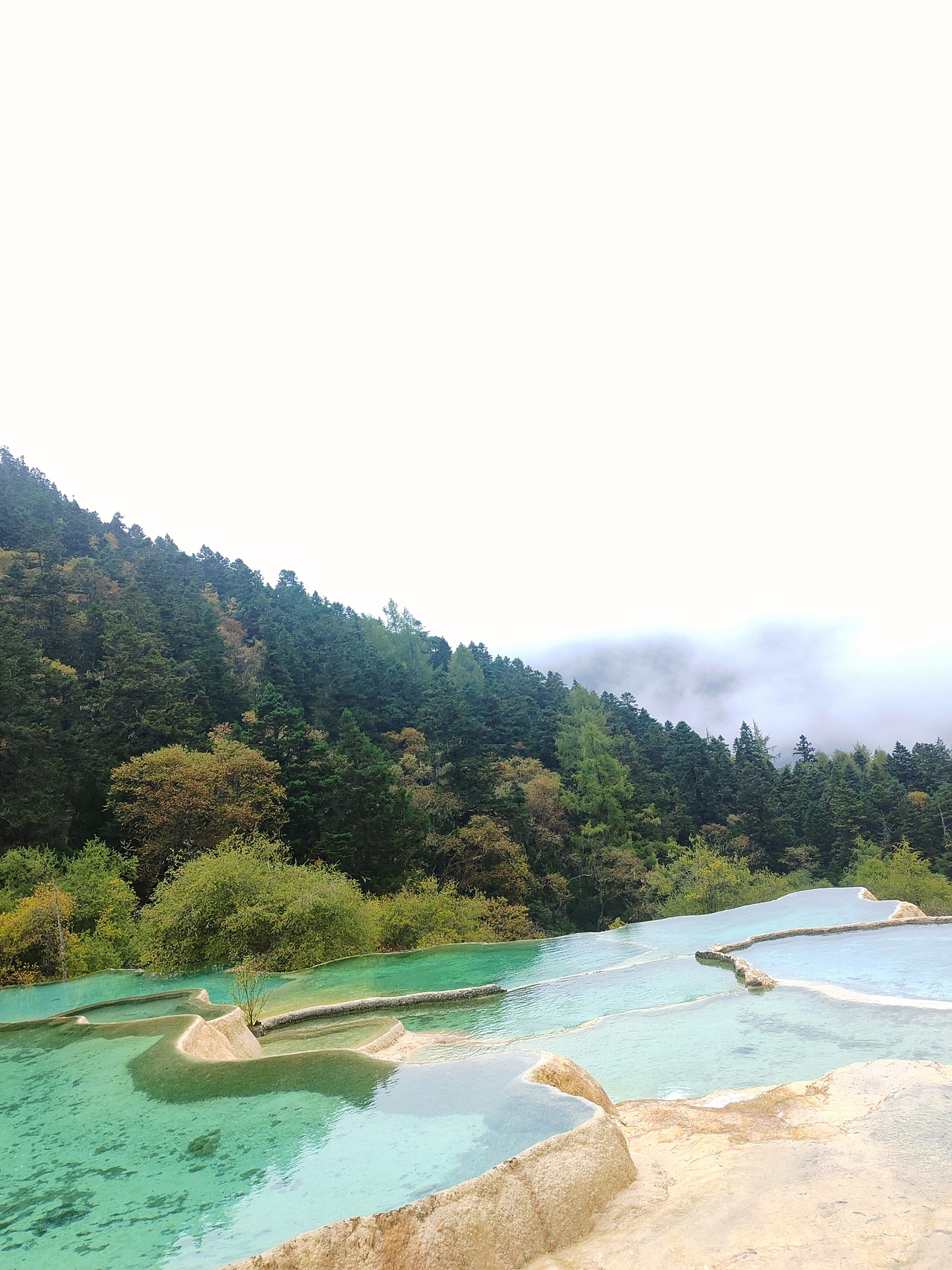 浓郁的绿、云雾的白（图ZMzc4Mzk4MDEy） - 风光摄影 - 站酷设计师曦言ECHO原创素材 - 站酷ZCOOL