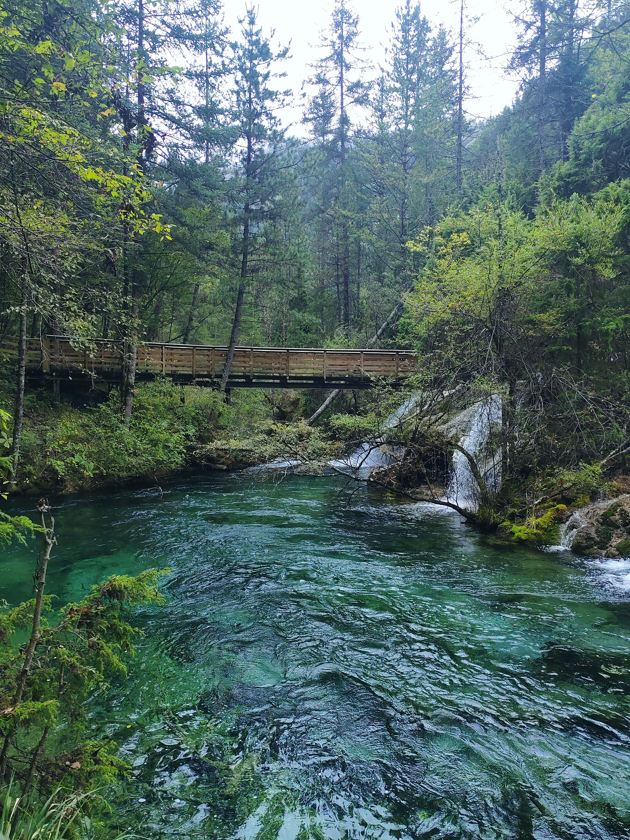 浓郁的绿、云雾的白（图ZMzc4Mzk4NTMy） - 风光摄影 - 站酷设计师曦言ECHO原创素材 - 站酷ZCOOL
