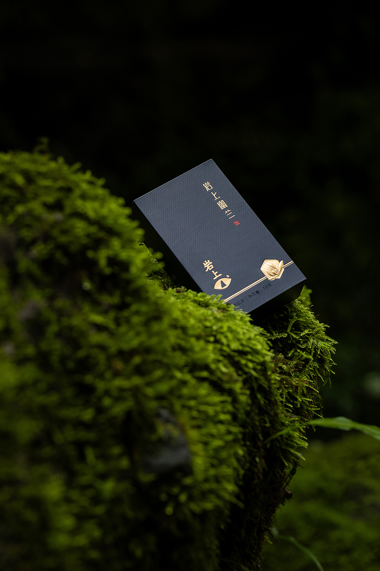 岩上｜岩上幽兰｜产品拍摄（图ZMzc4NDA0NjE2） - 产品摄影 - 站酷设计师半月里摄影原创素材 - 站酷ZCOOL