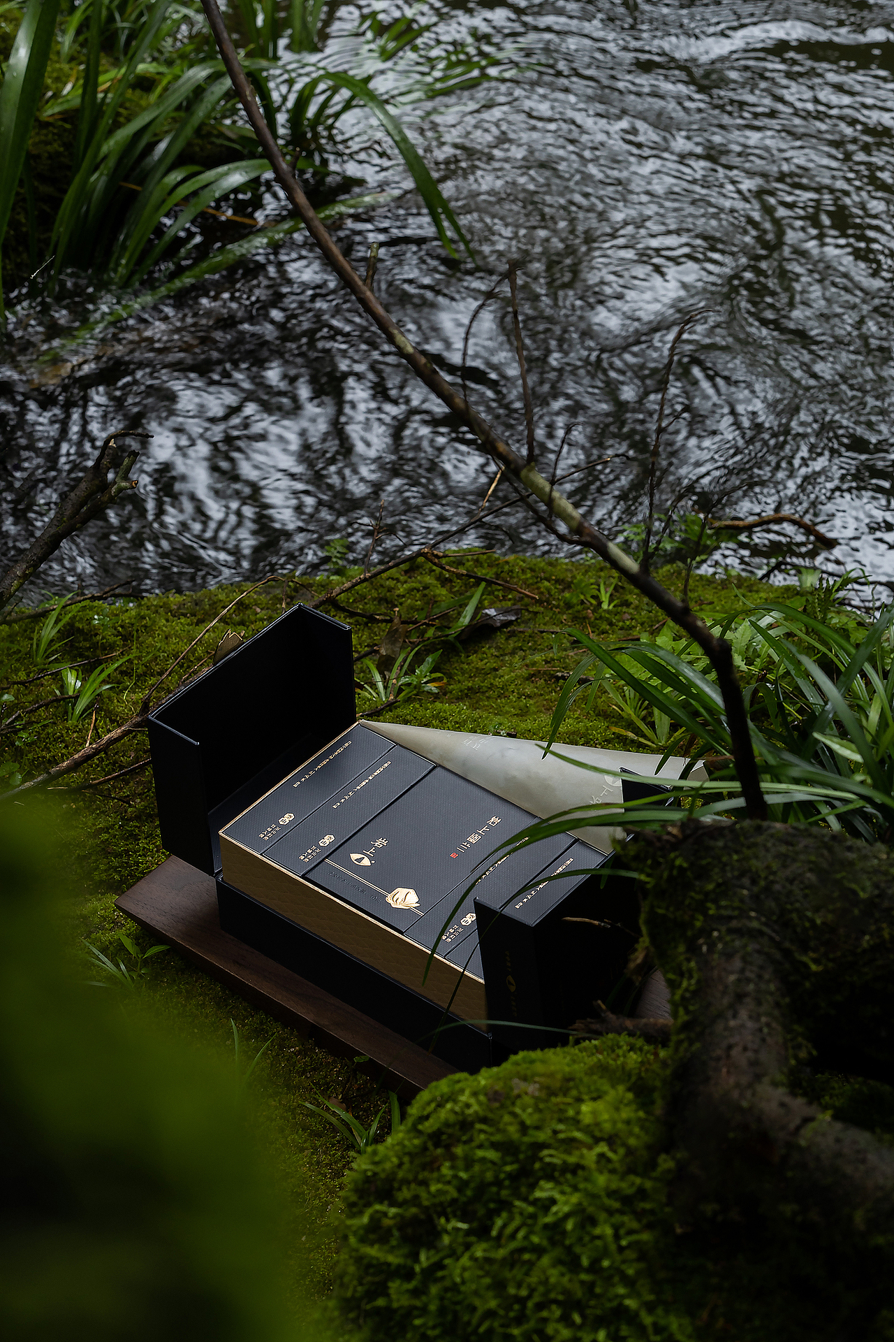 岩上｜岩上幽兰｜产品拍摄（图ZMzc4NDA0NjA4） - 产品摄影 - 站酷设计师半月里摄影原创素材 - 站酷ZCOOL