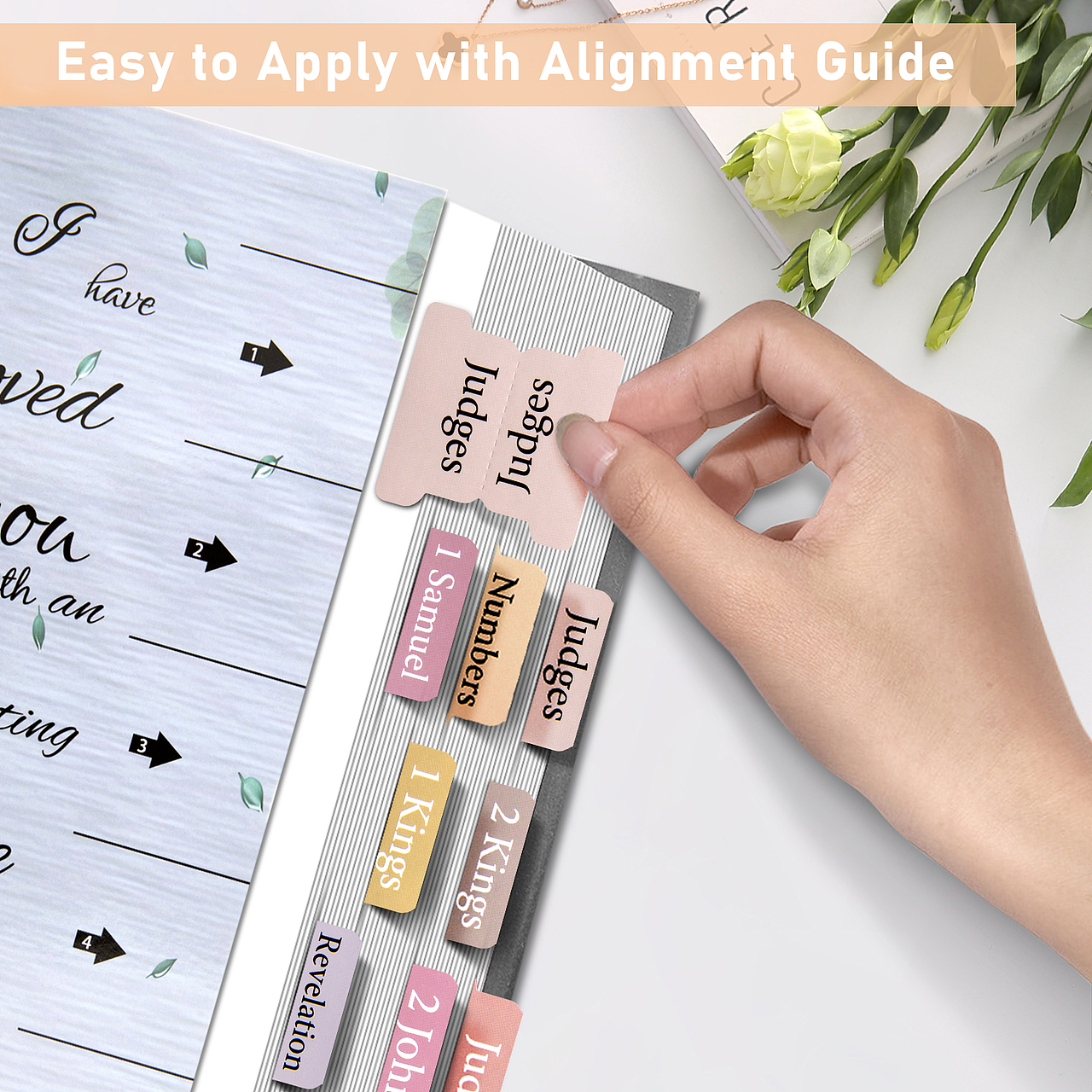 亚马逊-圣经贴（图ZMzc4NDU3NDI0） - 其他平面 - 站酷设计师H又菜又爱玩原创素材 - 站酷ZCOOL