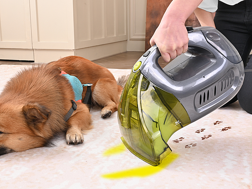 亚马逊主图A+制作