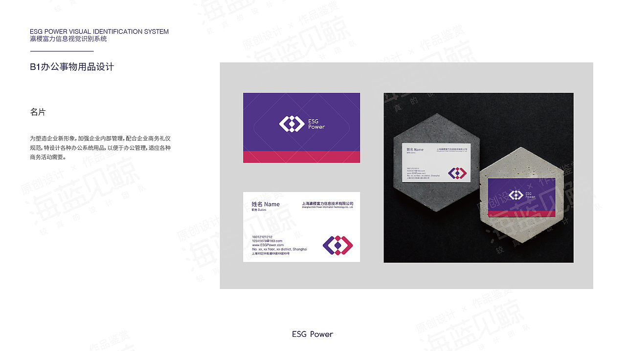 数字业务企业VIS