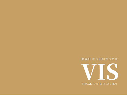 文化传媒企业VIS