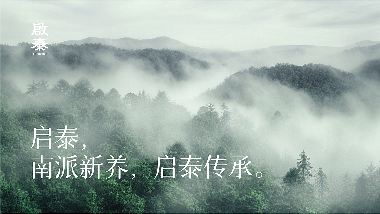 yoyo x 启泰 I 品牌视觉体系(简版)