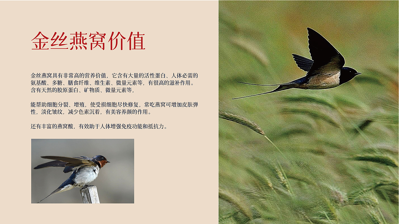 yoyo x 启泰 I 品牌视觉体系(简版)