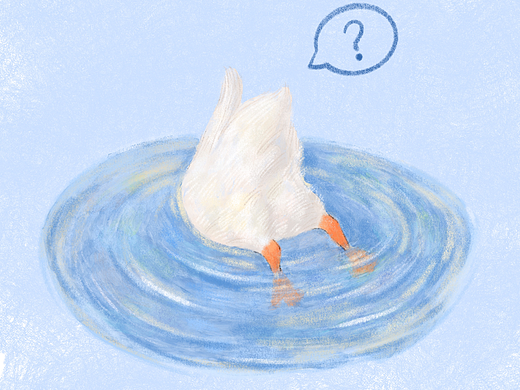 潜水鸭