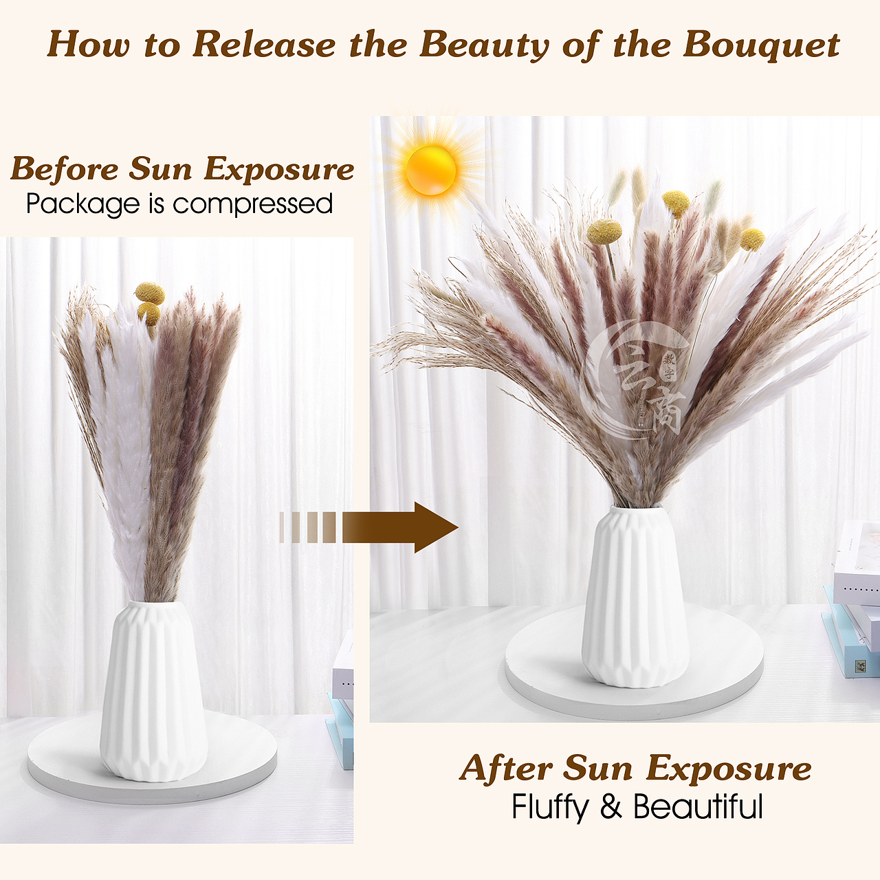 亚马逊图片拍摄/设计——干花