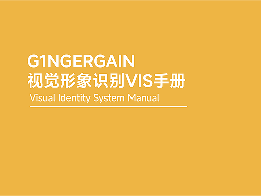 品牌VIS设计