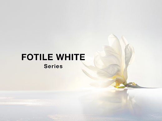 FOTILE 方太云影系列