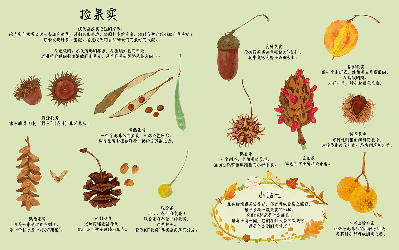 《出去玩》童书插图作品展示