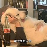 小韩不笨的头像