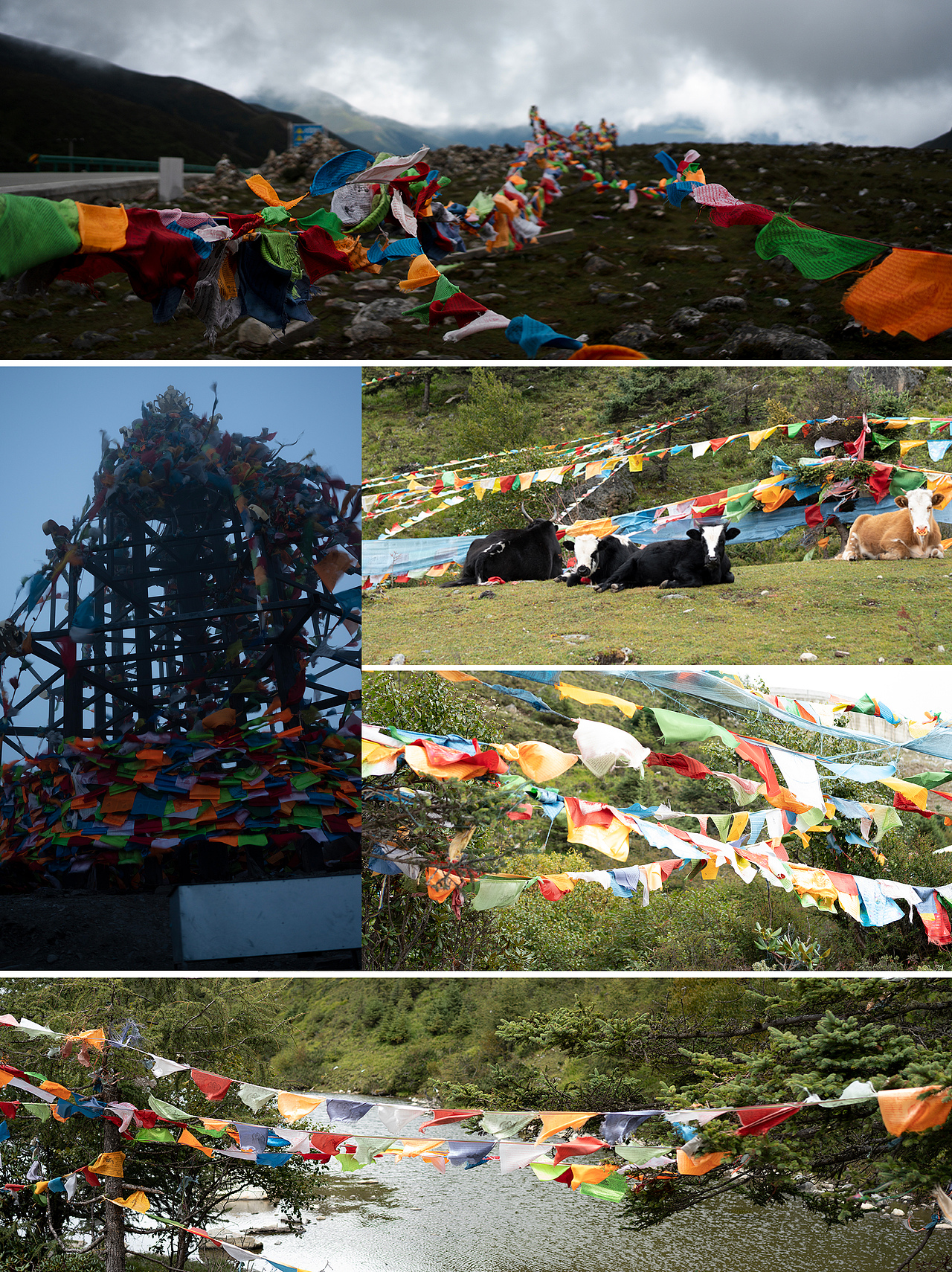 雪境（图ZMzc4NTQwMTA0） - 概念设定 - 站酷设计师大举CG原创素材 - 站酷ZCOOL