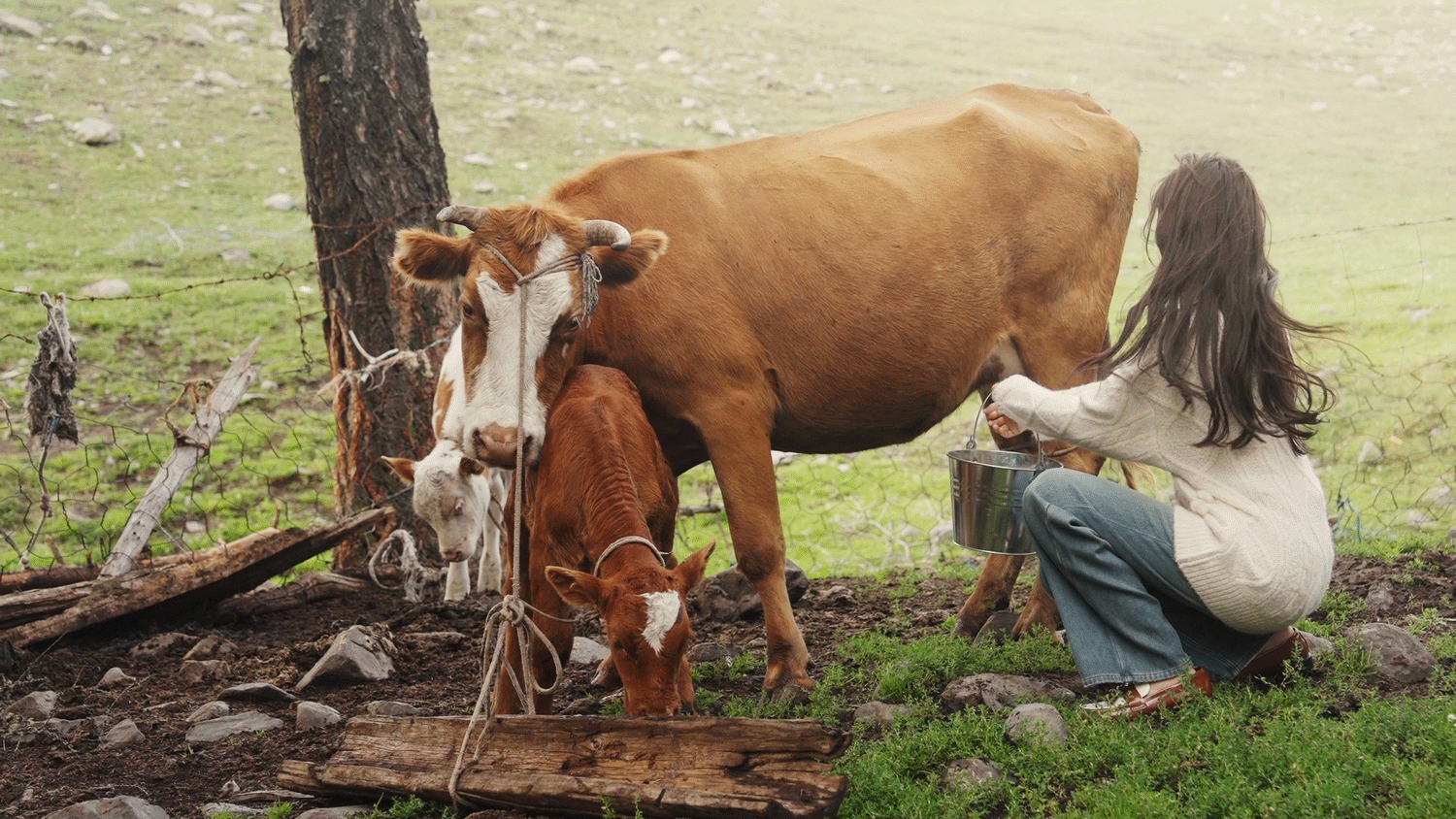 女装阿勒泰旅拍 | 香影服饰治愈系摄影 X 乐趣