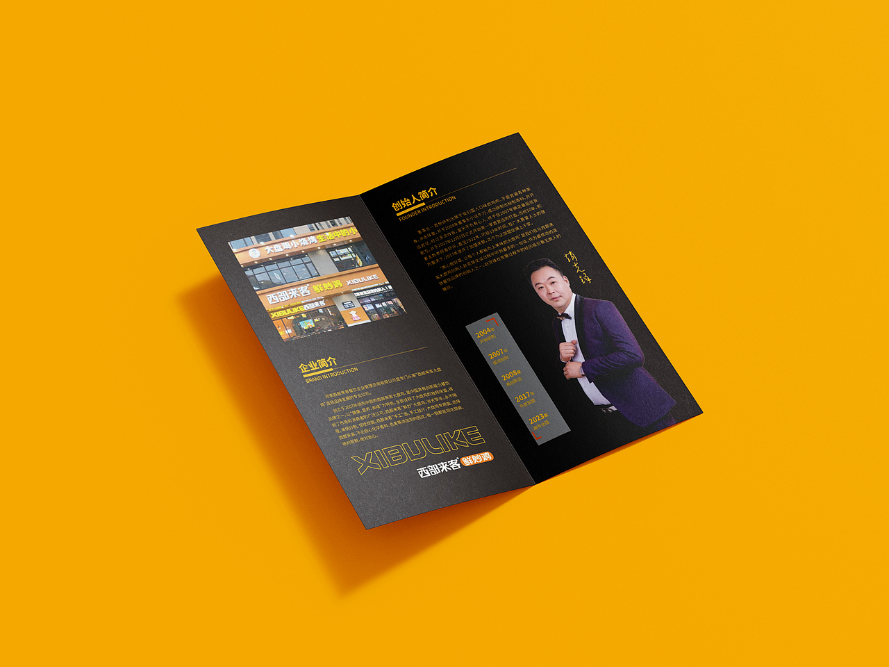 2023画册案例合集 画册设计I宣传册设计I折页设计