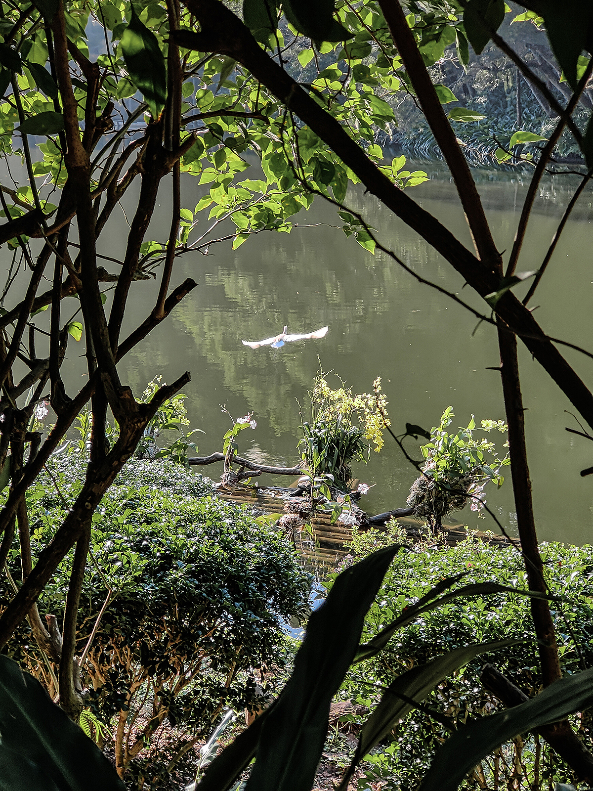 總有一些風景值得駐足丨手機攝影（圖ZMzc4NTczOTc2） - 風光攝影 - 站酷設計師TT顕原創(chuàng)素材 - 站酷ZCOOL