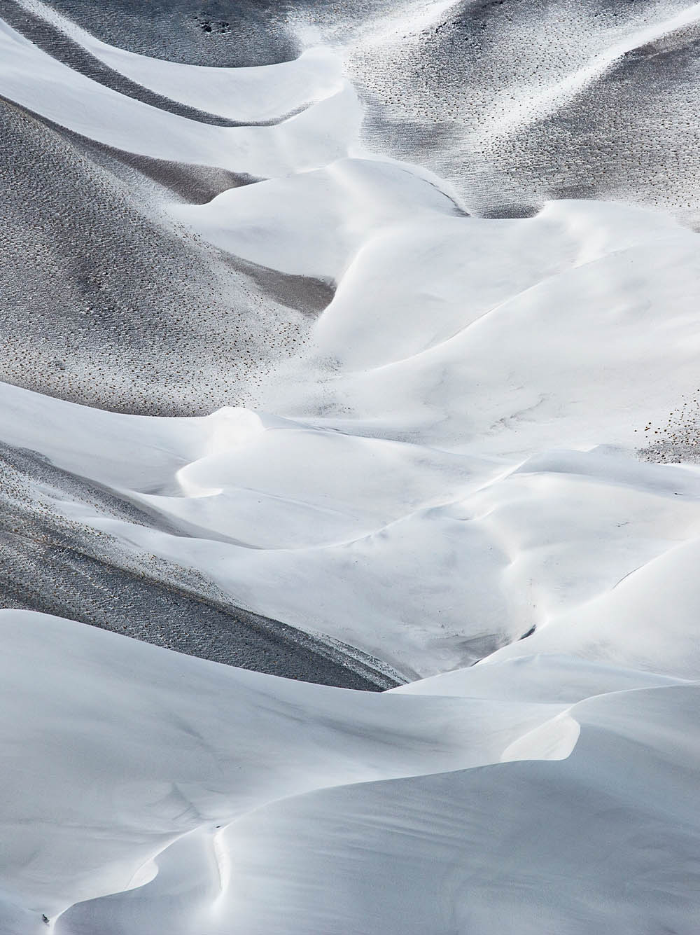 廿九的个人主页（背景预览） - 主页背景设置 - 站酷设计师廿九原创素材 - 站酷ZCOOL