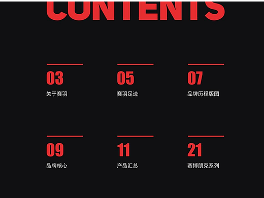 产品画册（截取部分）