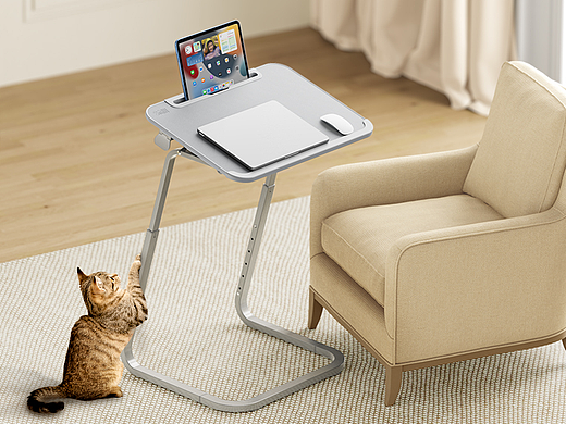 SAIJI · TV Tray
