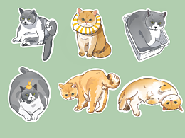家有猫猫