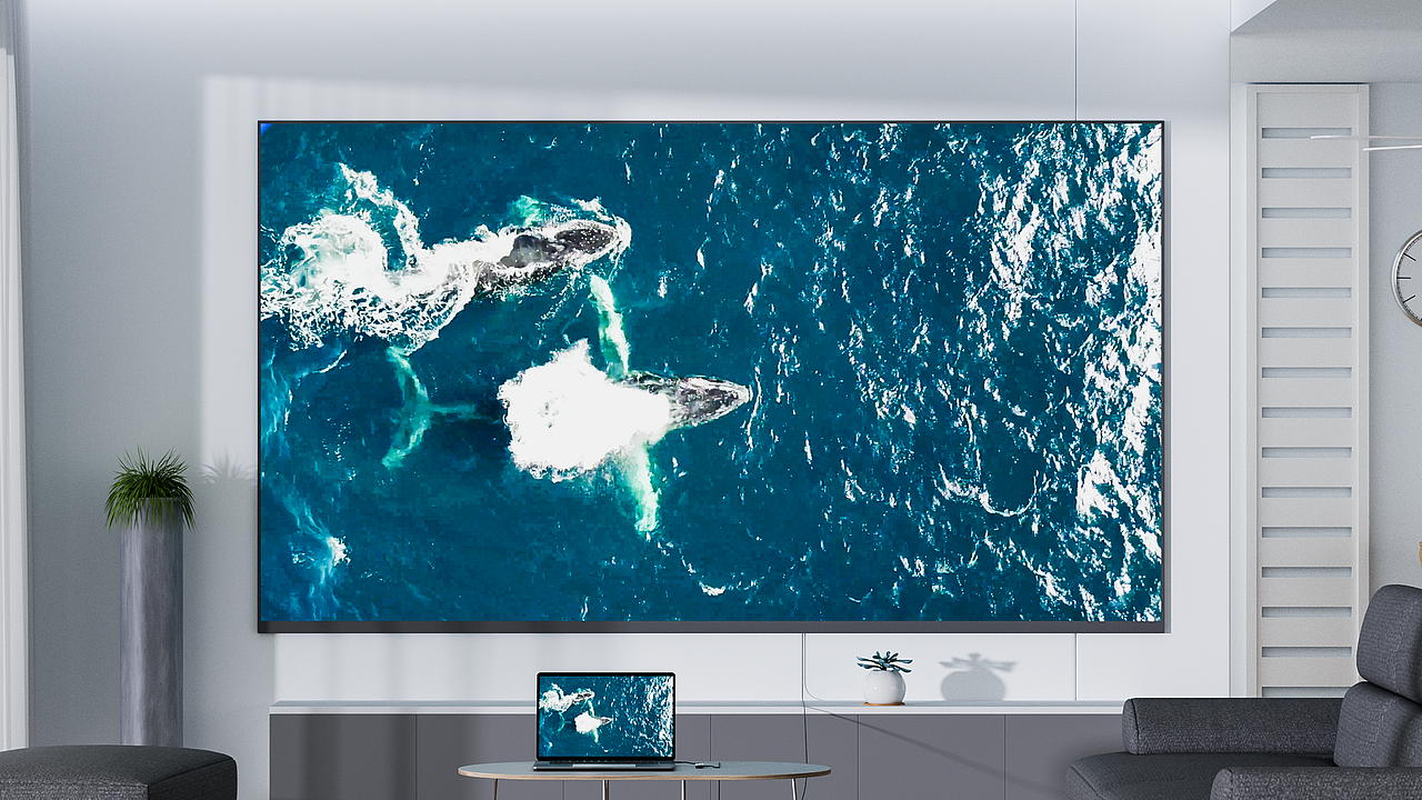 精心调配每一帧,确保笑料恰到好处