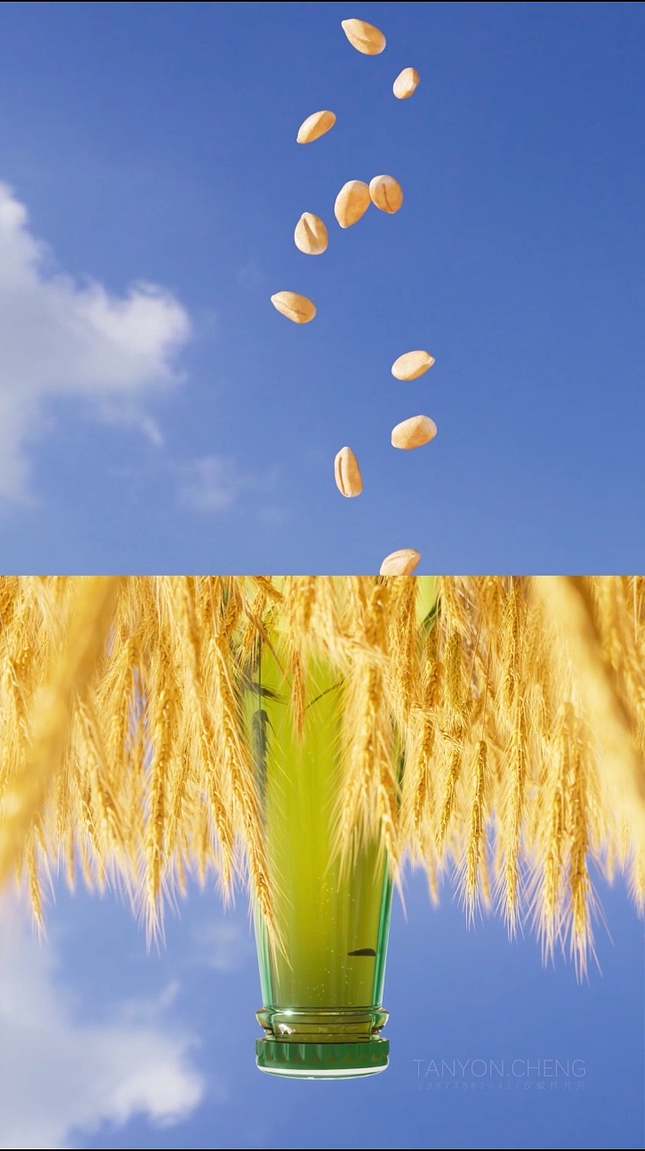 喜力啤酒红爵/经典 x TANYON汤圆