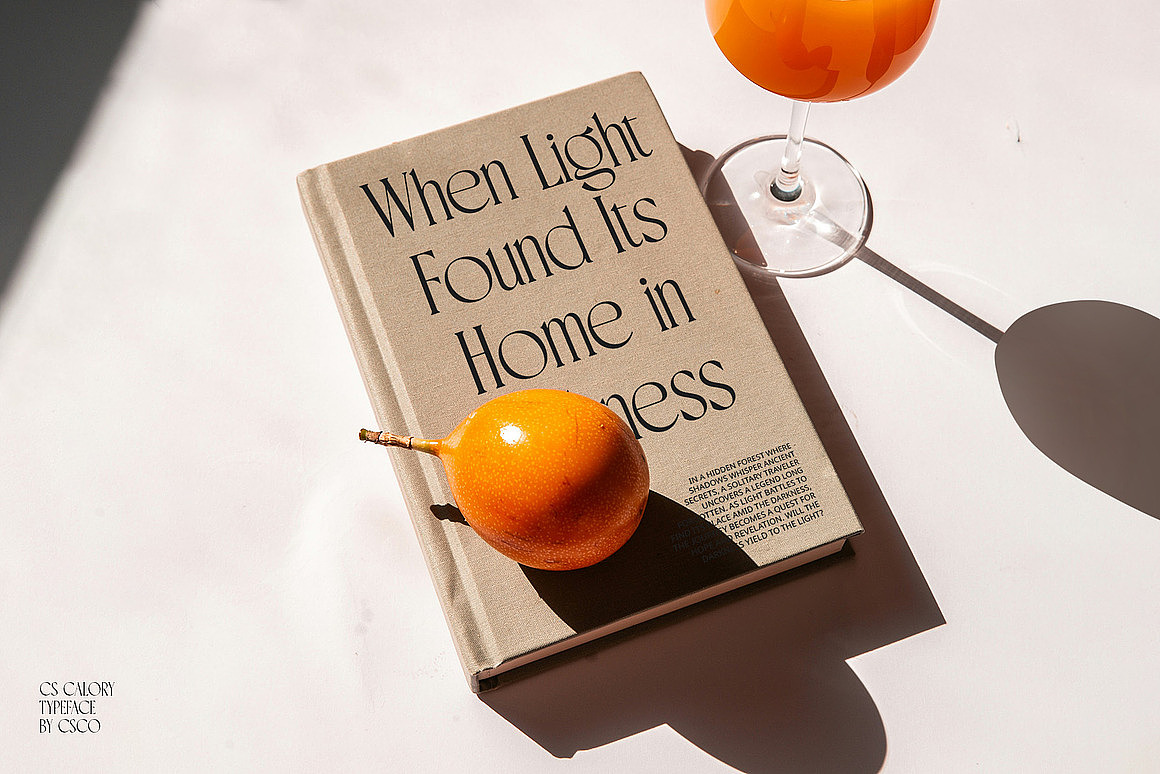 现代优雅时尚杂志画册广告海报封面标题衬线英文字体