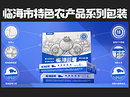 品牌包装