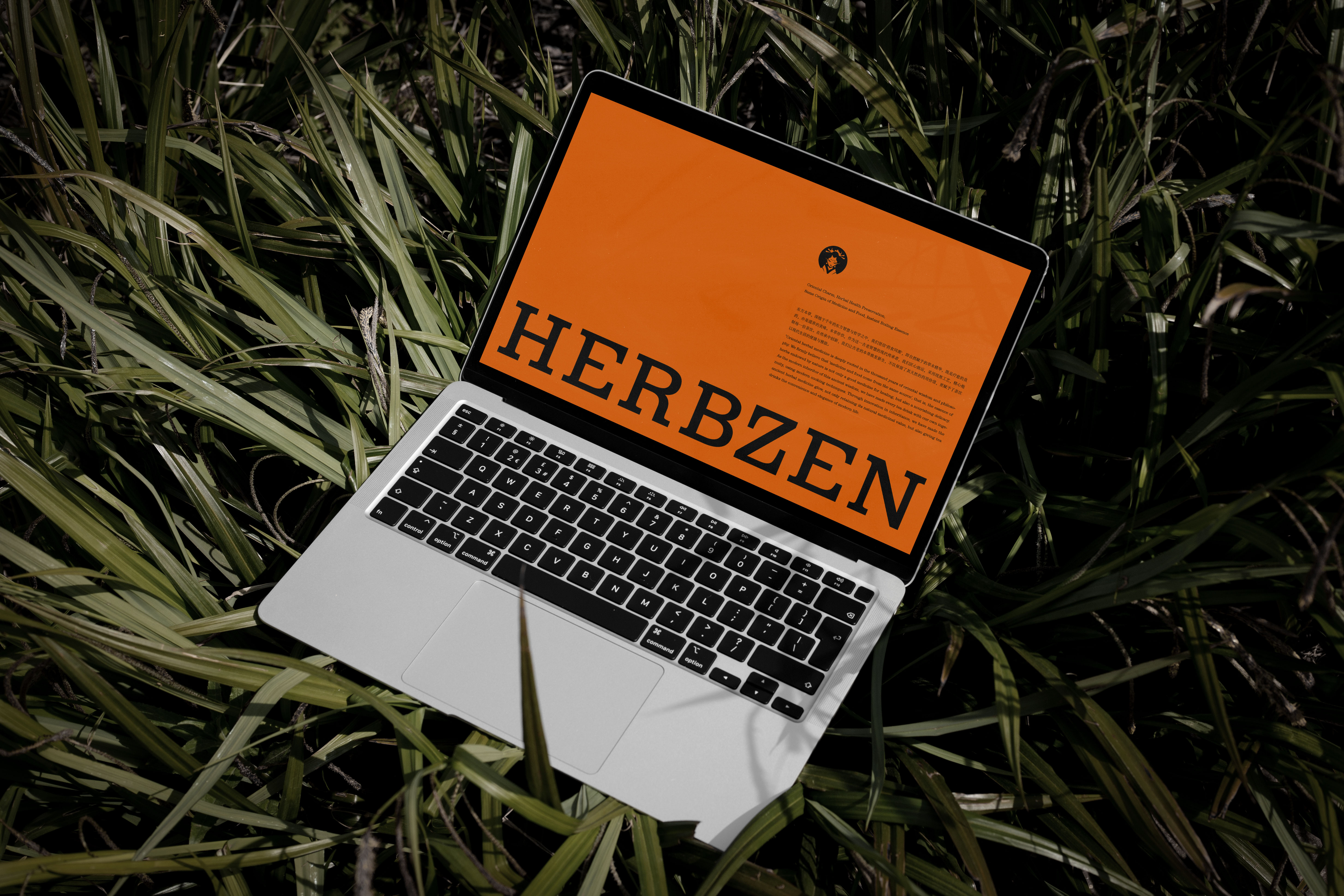 本草珍饮 HERBZEN｜东方草本茶饮｜茶饮品牌设计