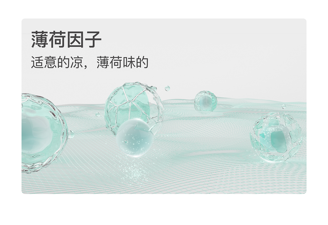 面料三维动态整合-电商Y24