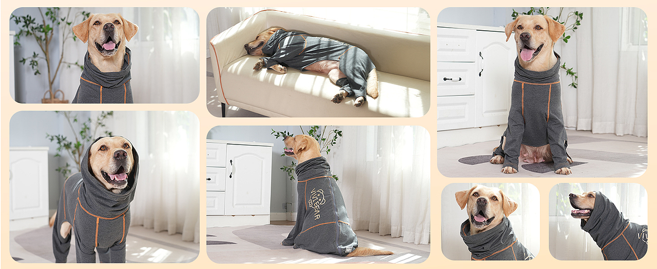 亚马逊主图设计视频制作宠物产品广告摄影详情制作淘宝