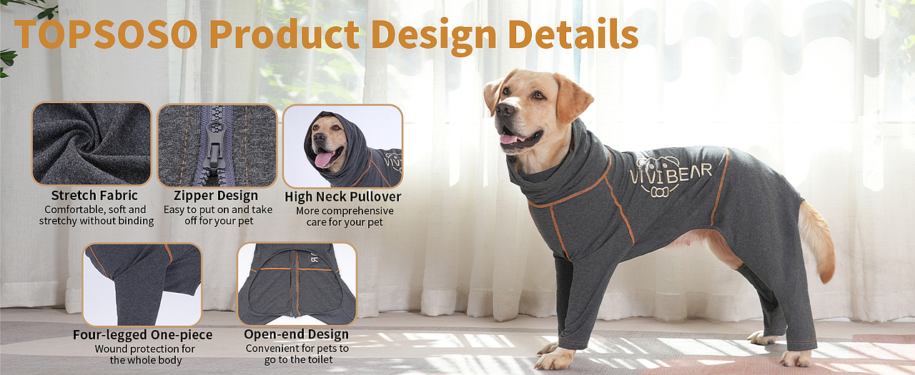 亚马逊主图设计视频制作宠物产品广告摄影详情制作淘宝