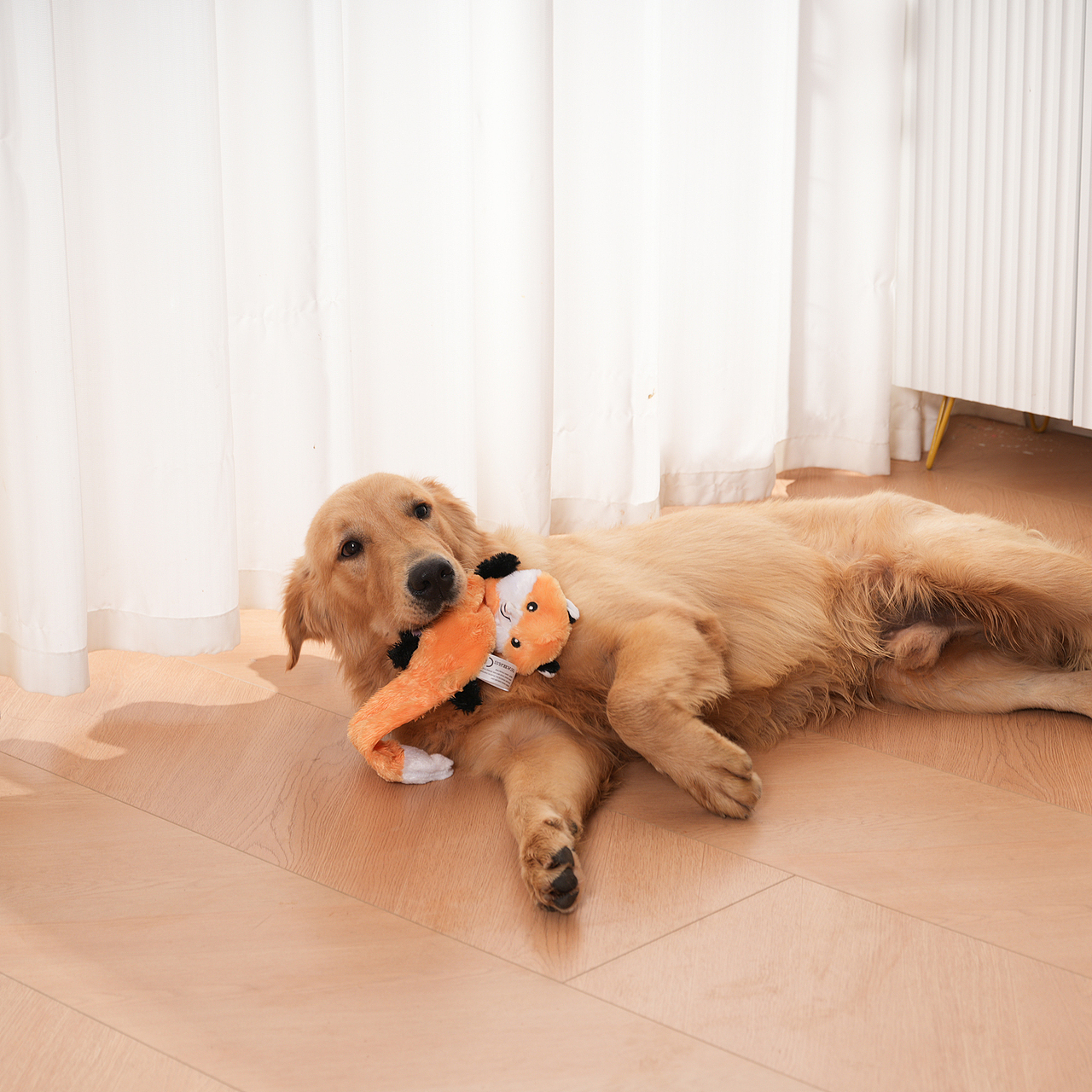 宠物玩具拍摄产品摄影亚马逊静物主图设计视频制作详情（图ZMzc4Njg2NjY4） - 产品摄影 - 站酷设计师零晨视觉摄影原创素材 - 站酷ZCOOL