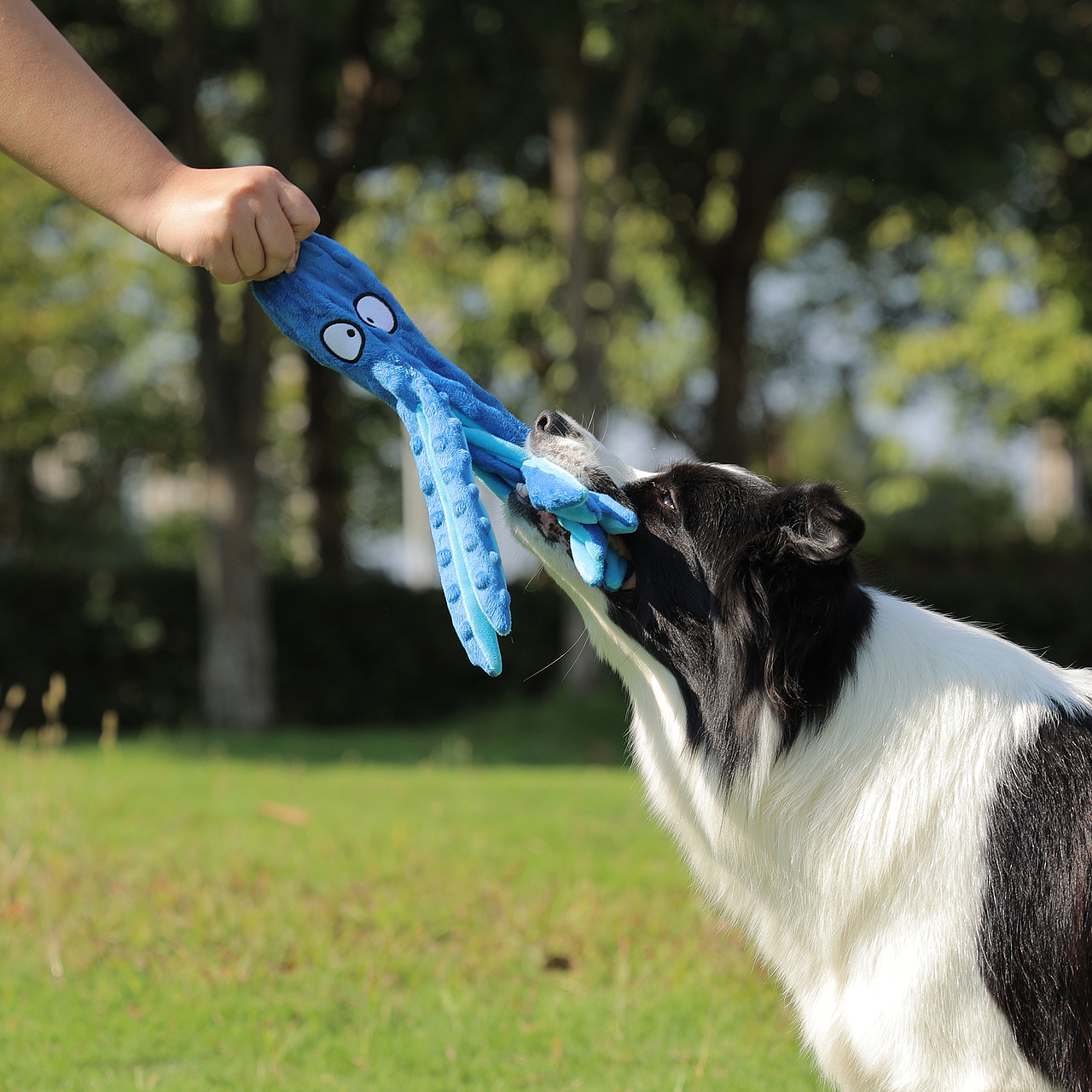 宠物玩具拍摄产品摄影亚马逊静物主图设计视频制作详情（图ZMzc4Njg2NzEy） - 产品摄影 - 站酷设计师零晨视觉摄影原创素材 - 站酷ZCOOL