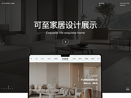 企业官网设计/电商落地页