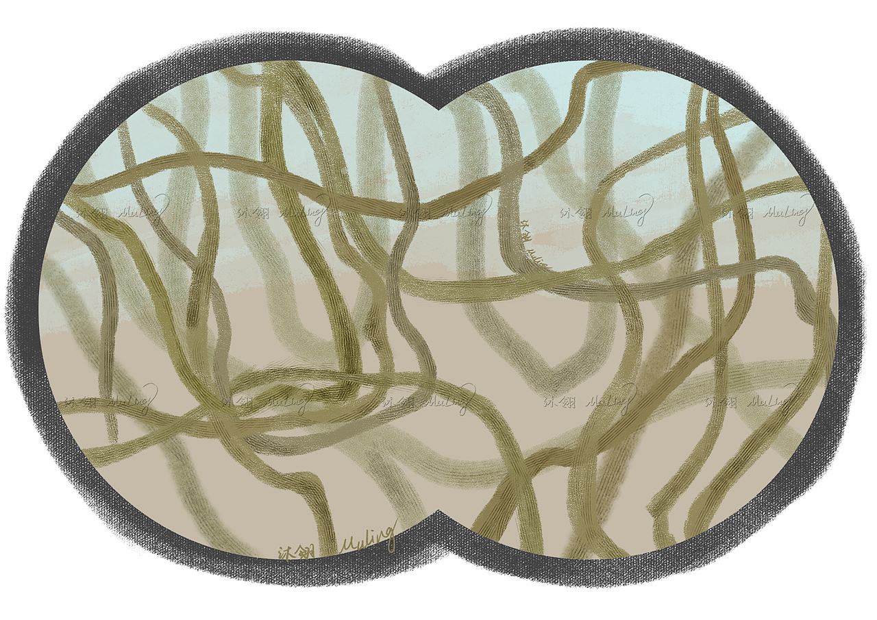 白胸翡翠奇遇记（图ZMzc4NjkxNjI0） - 儿童插画 - 站酷设计师沐翎画画画原创素材 - 站酷ZCOOL