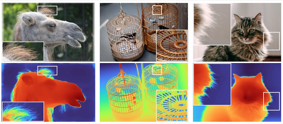 图片来自网络，如侵必删