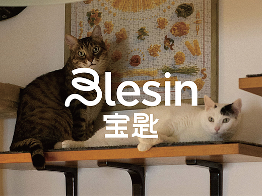 猫食品牌全案设计｜猫咪尾巴引发的设计灵感