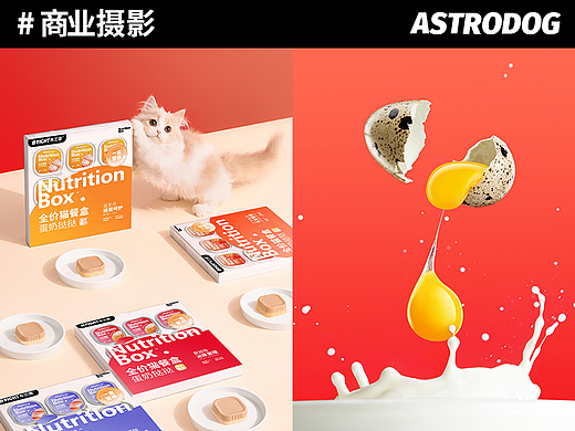 宠物食品拍摄 —— 布兰德餐盒双层蛋奶挞挞猫咪主食罐