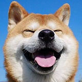 曹小霸的头像