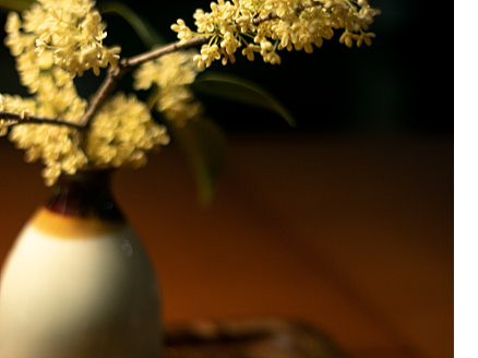 桂花核桃