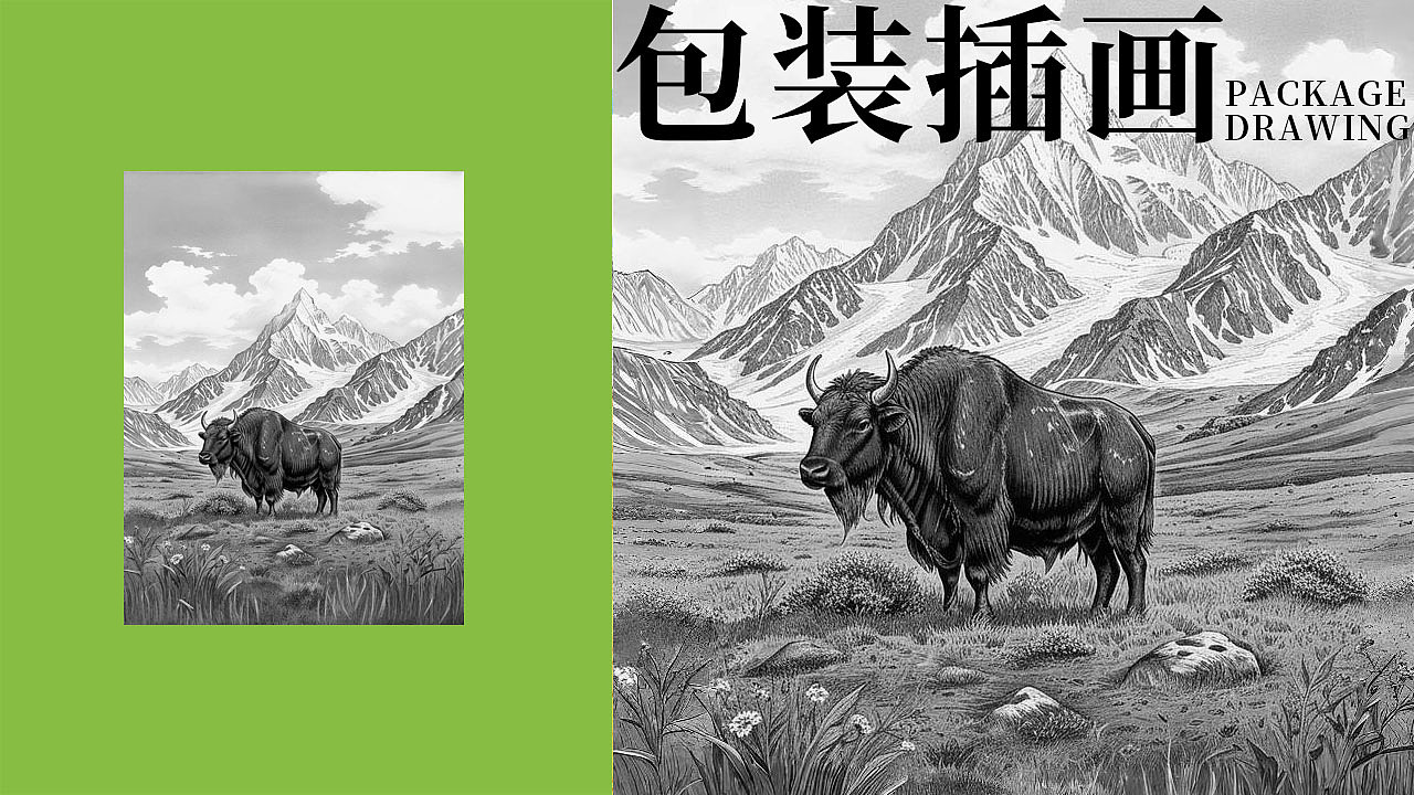 地方特色零食包装设计|蔬里牌牦牛风味零食