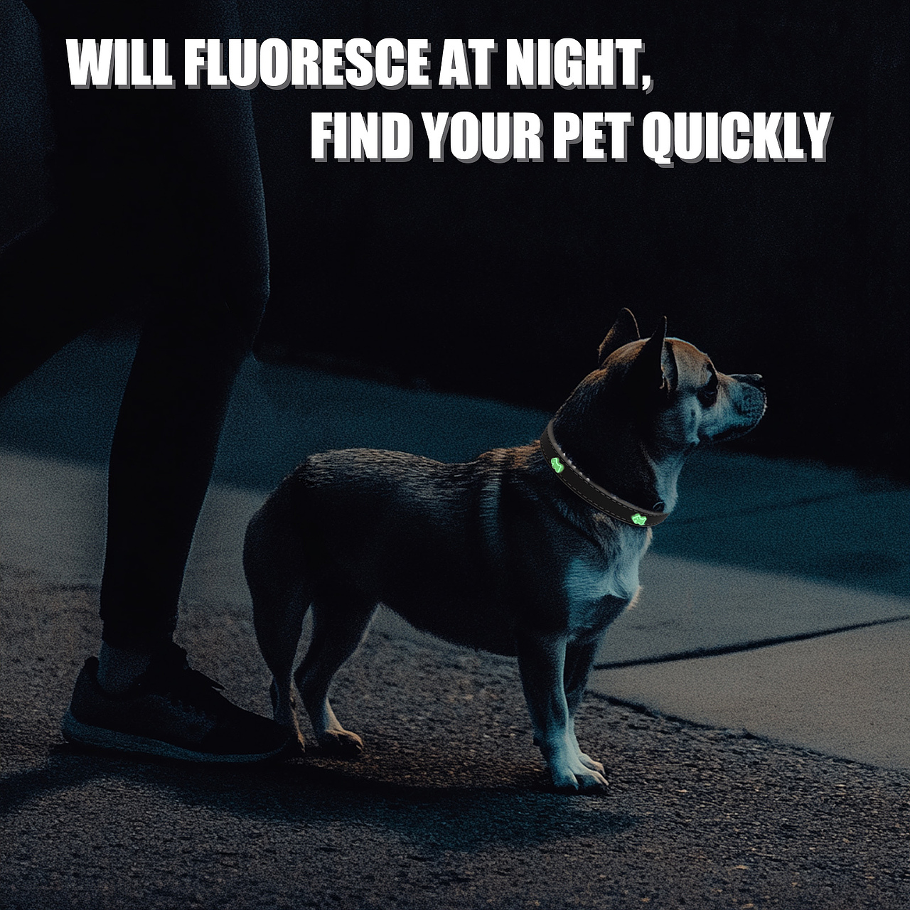 宠物项圈主图展示