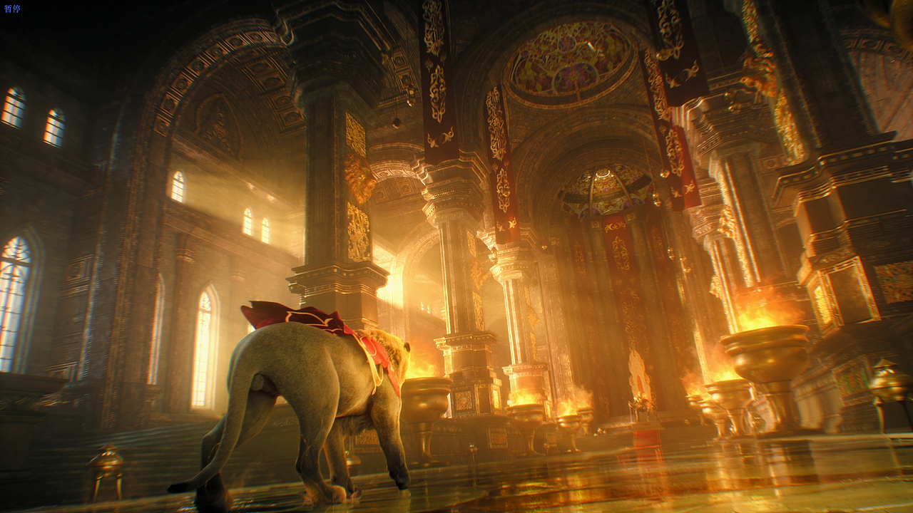 👑雄狮咆哮,傲领群雄🦁