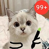 晓宇Joe的头像