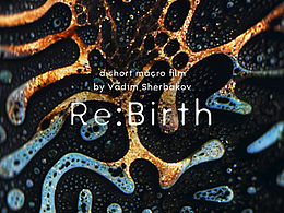 Re:Birth