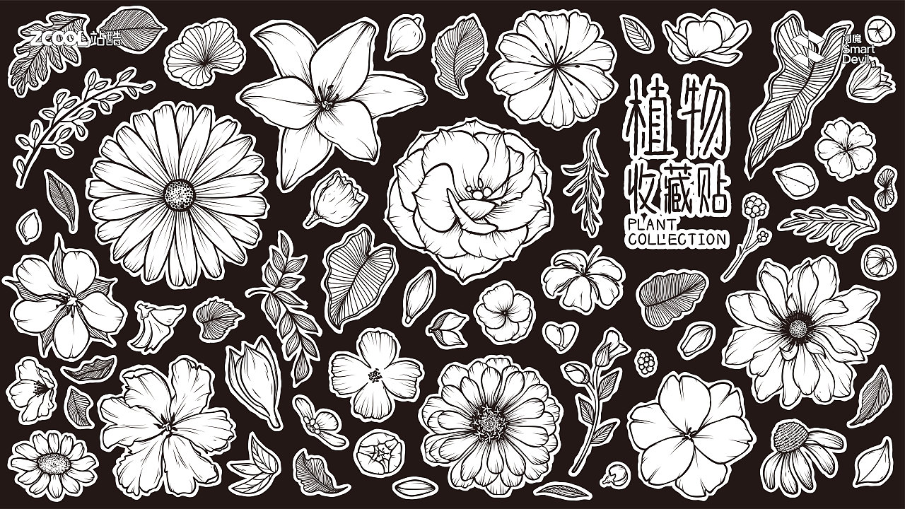植物收集贴（图ZMzc4ODg0MTgw） - 商业插画 - 站酷设计师歪蹄原创素材 - 站酷ZCOOL