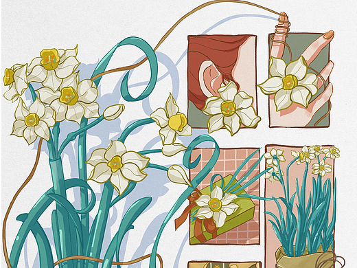 《中国十大名花》