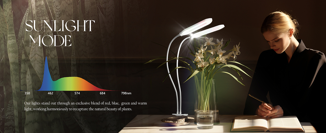 亚马逊植物灯-剑兰款